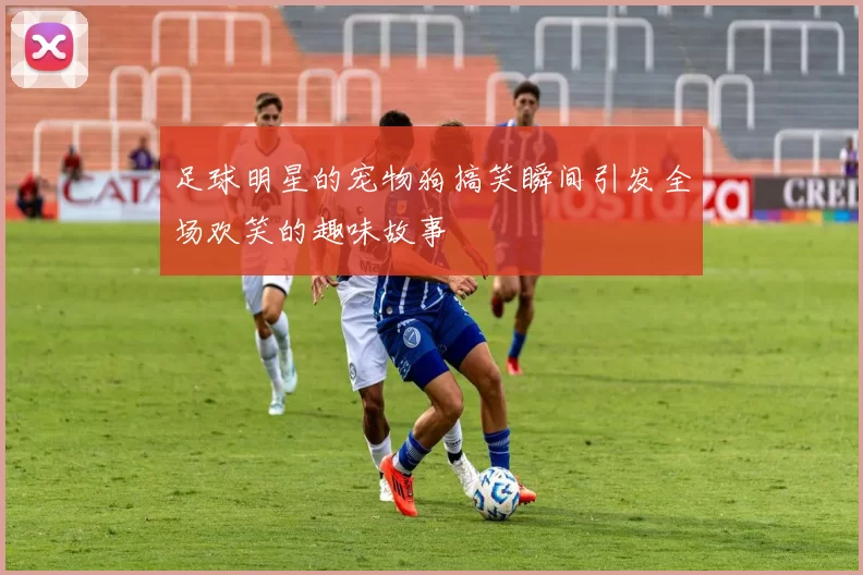足球明星的宠物狗搞笑瞬间引发全场欢笑的趣味故事
