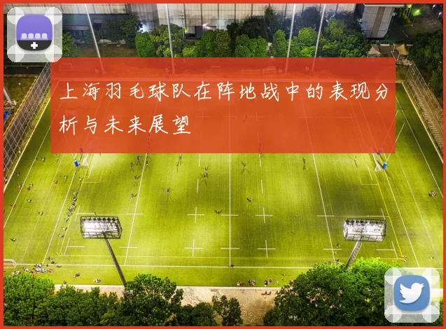 上海羽毛球队在阵地战中的表现分析与未来展望