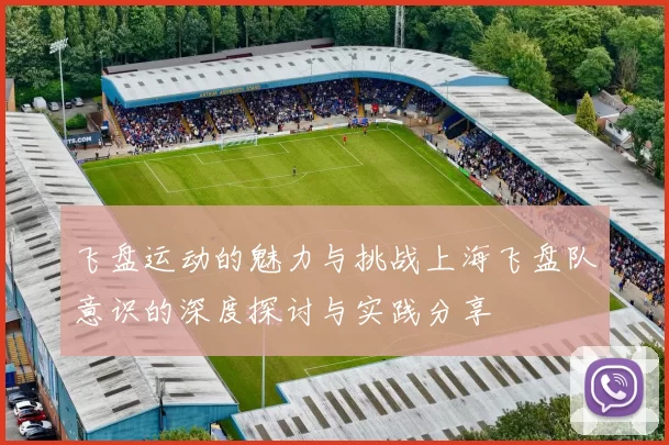 飞盘运动的魅力与挑战上海飞盘队意识的深度探讨与实践分享