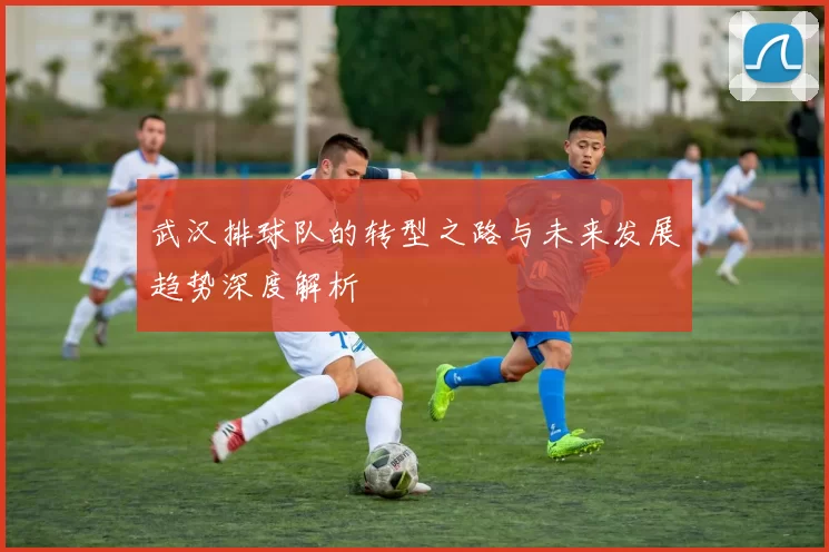 武汉排球队的转型之路与未来发展趋势深度解析