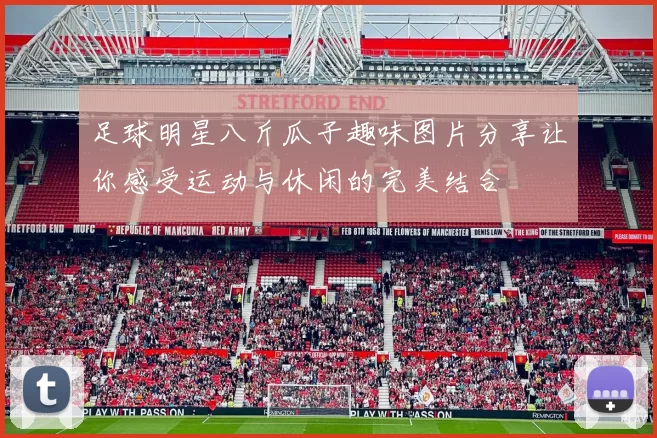 足球明星八斤瓜子趣味图片分享让你感受运动与休闲的完美结合