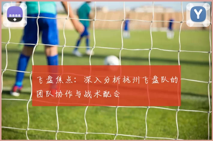 飞盘焦点：深入分析杭州飞盘队的团队协作与战术配合