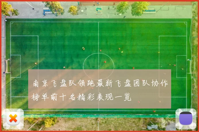 南京飞盘队领跑最新飞盘团队协作榜单前十名精彩表现一览