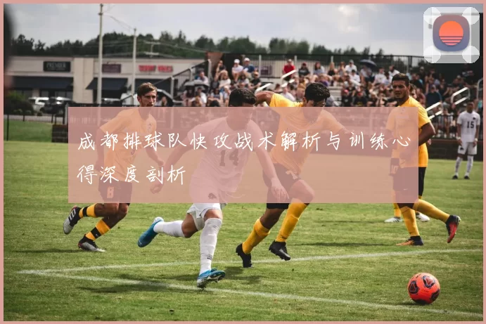成都排球队快攻战术解析与训练心得深度剖析