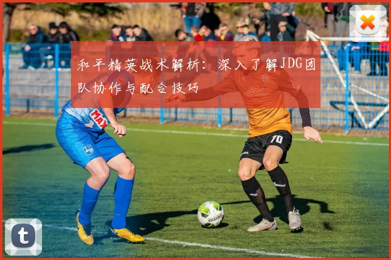 和平精英战术解析：深入了解JDG团队协作与配合技巧