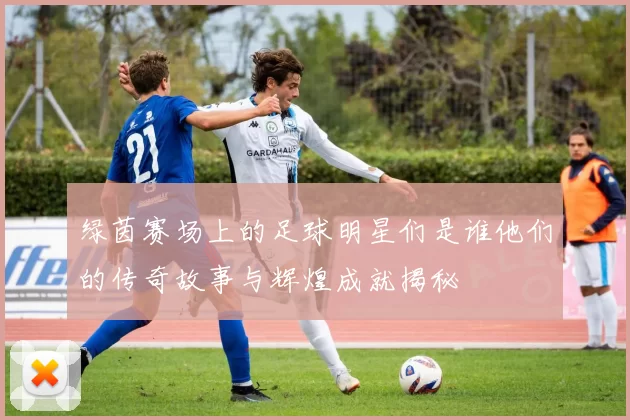 绿茵赛场上的足球明星们是谁他们的传奇故事与辉煌成就揭秘