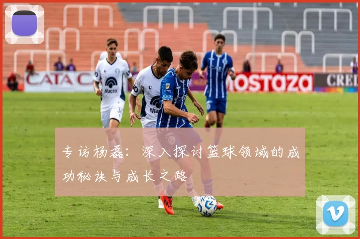 专访杨磊：深入探讨篮球领域的成功秘诀与成长之路