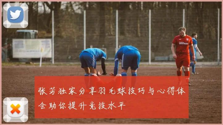 张芳独家分享羽毛球技巧与心得体会助你提升竞技水平