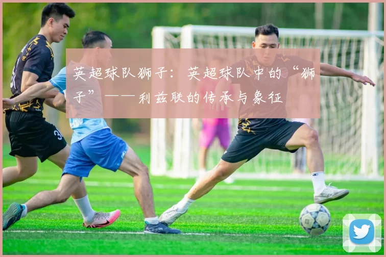 英超球队狮子：英超球队中的“狮子”——利兹联的传承与象征