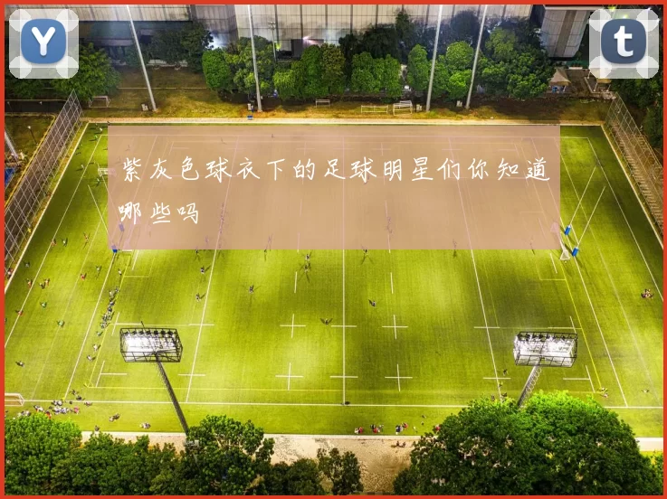 紫灰色球衣下的足球明星们你知道哪些吗