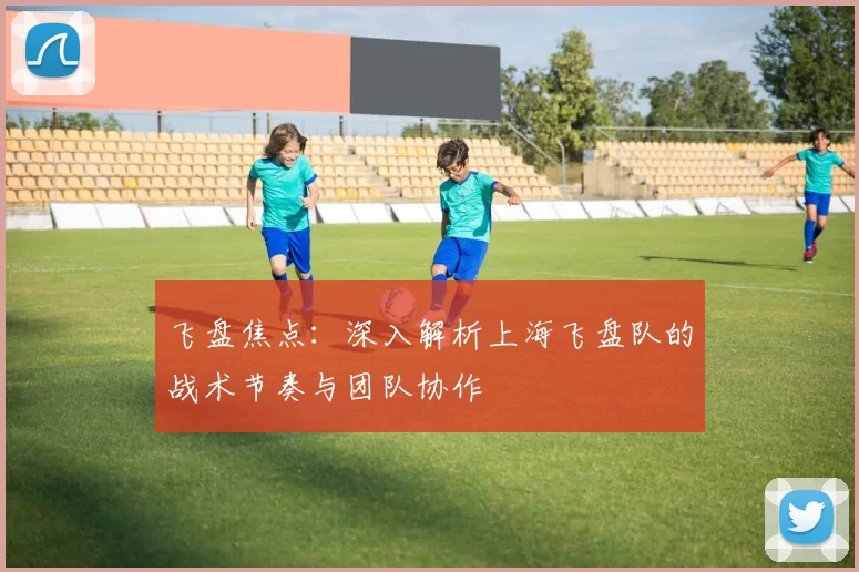 飞盘焦点：深入解析上海飞盘队的战术节奏与团队协作