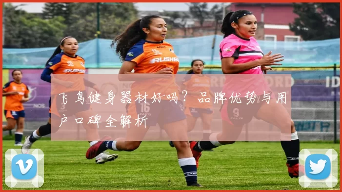 飞鸟健身器材好吗？品牌优势与用户口碑全解析