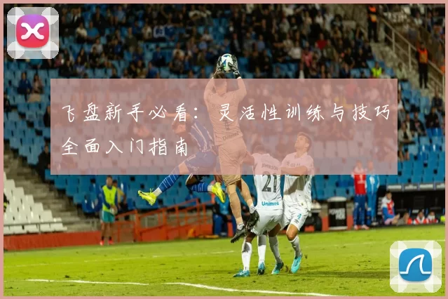 飞盘新手必看：灵活性训练与技巧全面入门指南