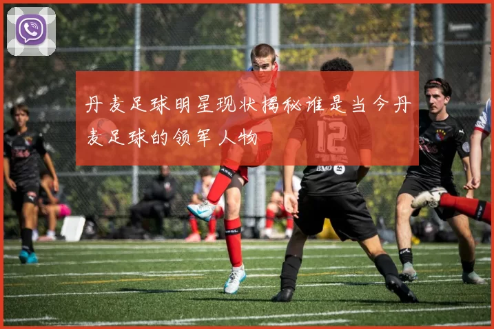 丹麦足球明星现状揭秘谁是当今丹麦足球的领军人物