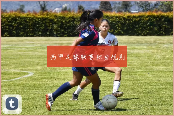 西甲足球联赛积分规则