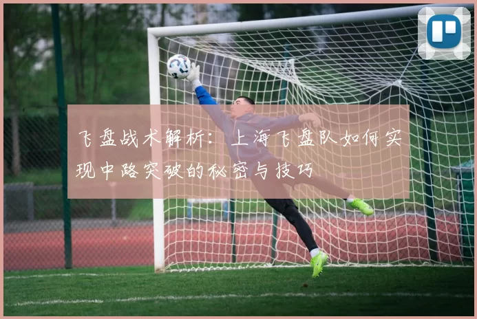 飞盘战术解析：上海飞盘队如何实现中路突破的秘密与技巧