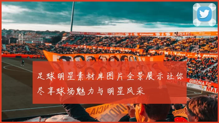 足球明星素材库图片全景展示让你尽享球场魅力与明星风采