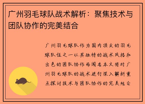 广州羽毛球队战术解析：聚焦技术与团队协作的完美结合
